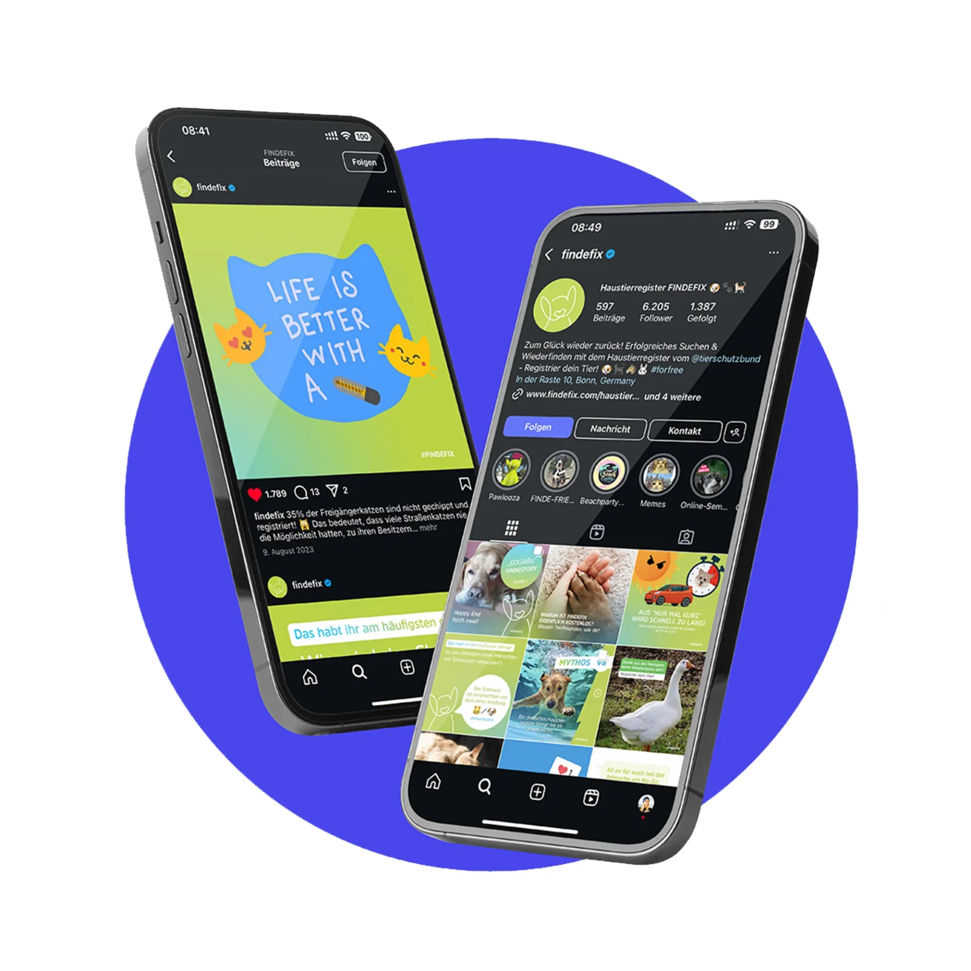 Findefix Kampagne: Key Visual und Microsite